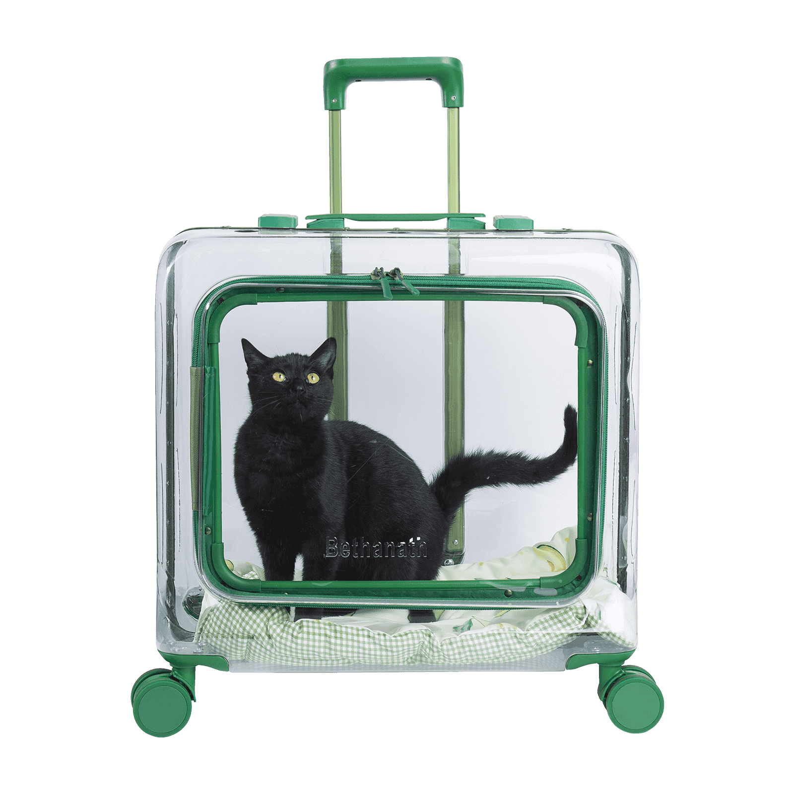 Borsa per il trasporto di animali domestici: un assistente portatile per il viaggio degli animali domestici