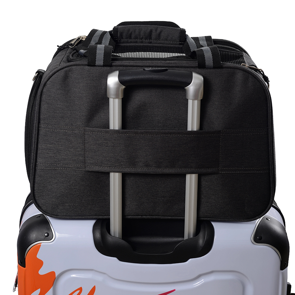 Trasportini portatili per cani da gatto estivi Oxford Borsa per animali domestici Borse portatili per cuccioli Trasportini per animali da viaggio per piccoli animali